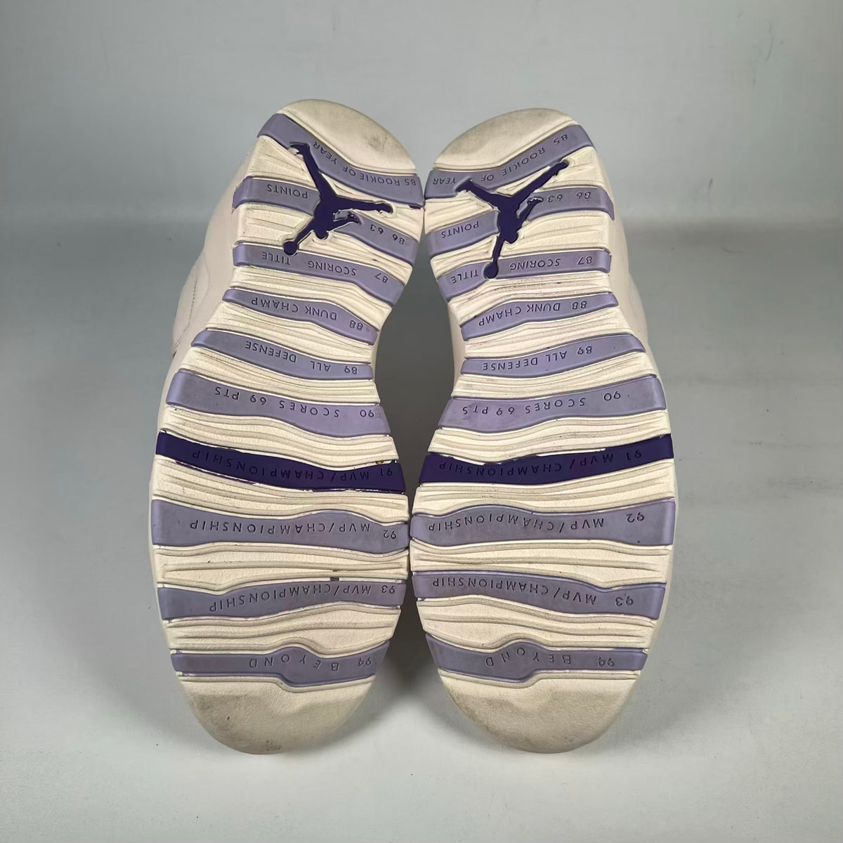 Jordan 10 Hydrangeas (2026) Size 8m / 9.5w USED s23723