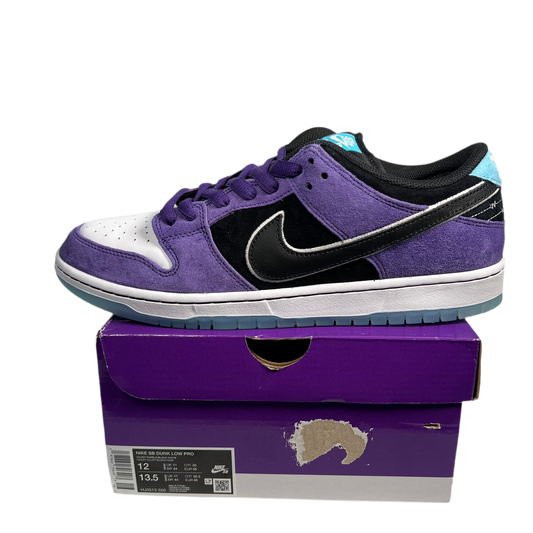 Nike SB Dunk Low Hayley Wilson (2025) Size 12 NEW s17731