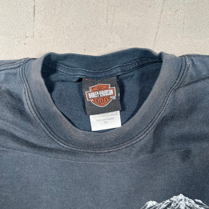 2010 Harley Davidson Chilkoot Pass Black Tee Size XL USED v18981
