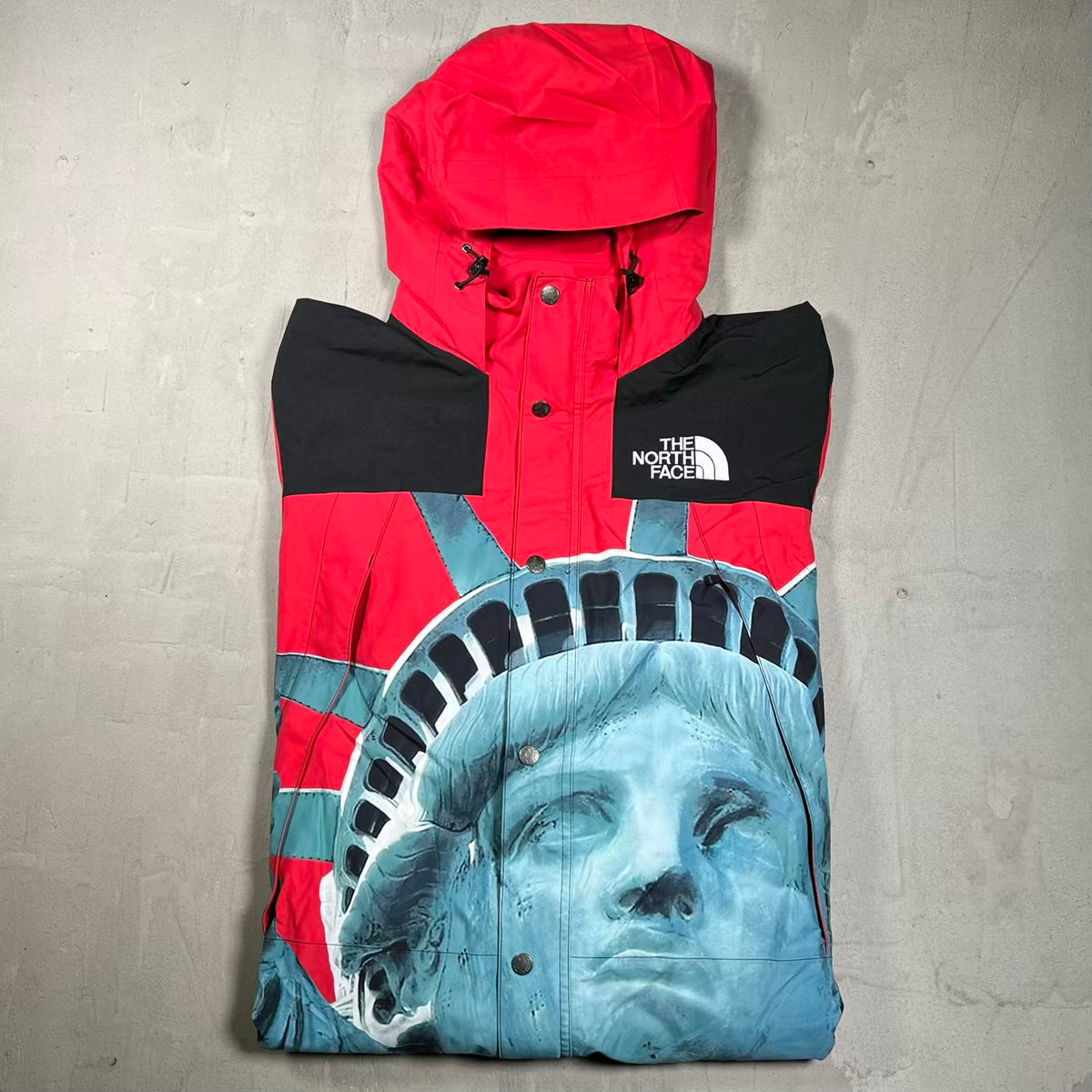 Supreme North Face Statue of Liberty Mountain Jacket (2019) Size Large USED x18656