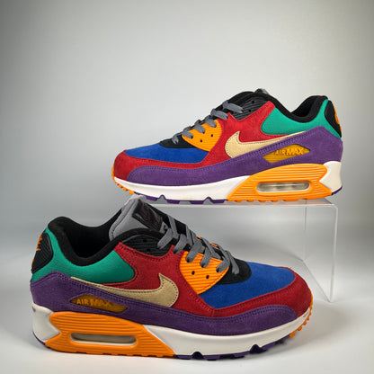 Nike Air Max 90 Viotech (2019) Size 10.5 USED s18326