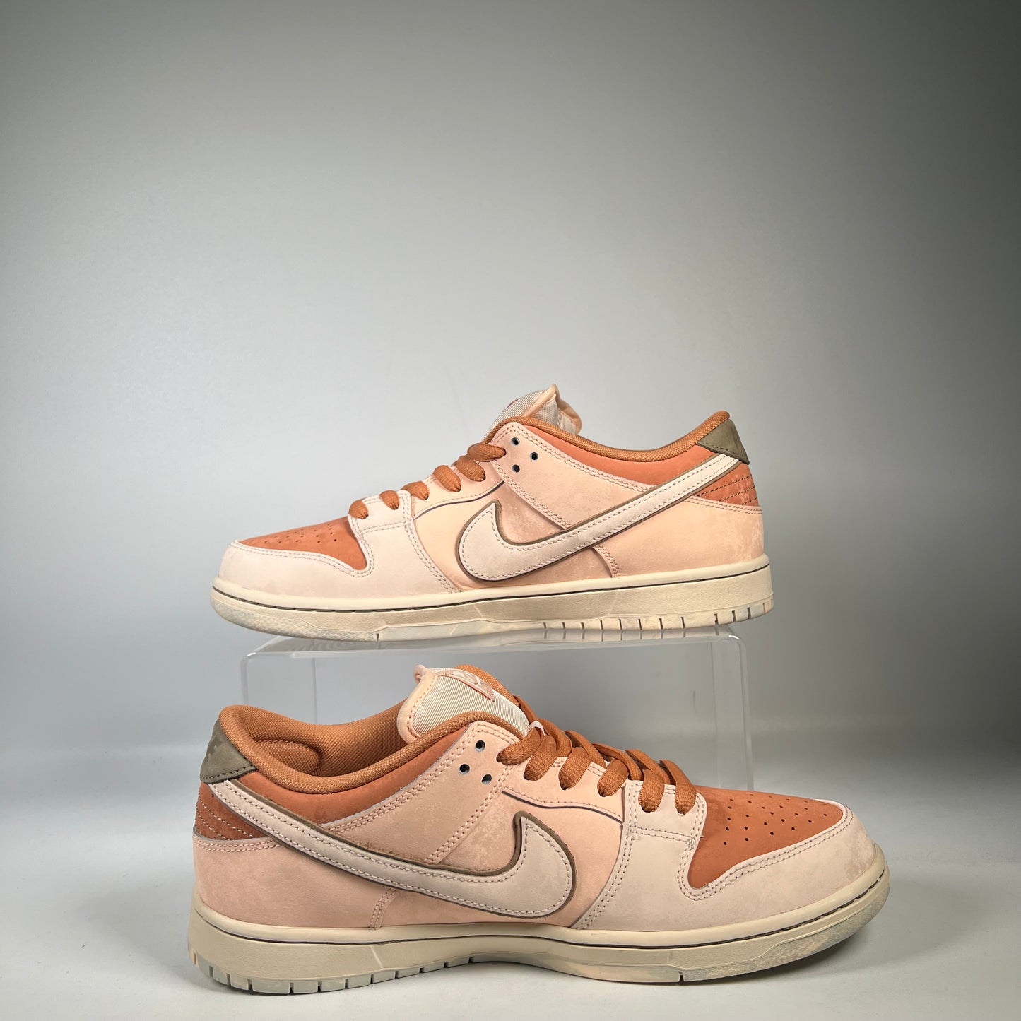 Nike SB Dunk Trocadéro Gardens (2024) Size 11 USED s20945
