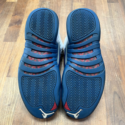 Jordan 12 French Blue 2015 Size 9.5 USED s16591