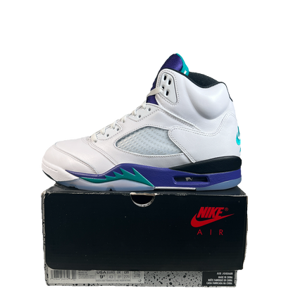 Jordan 5 Grape (2025) Size 9.5 USED s22965