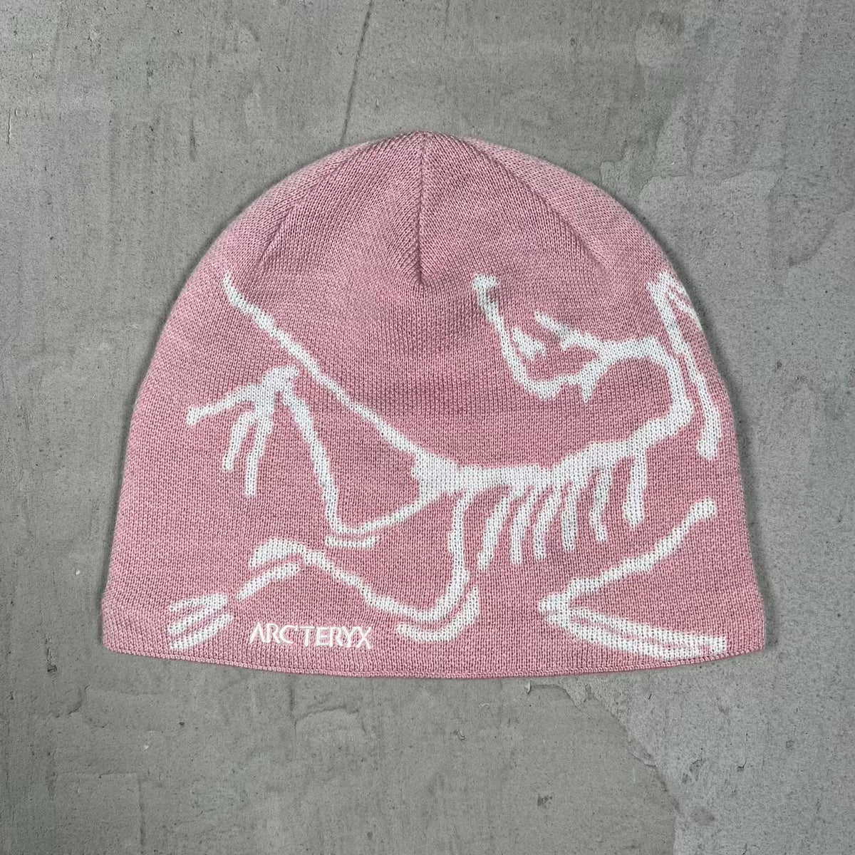 ArcTeryx Bird Head Toque Beanie Bliss USED x18248
