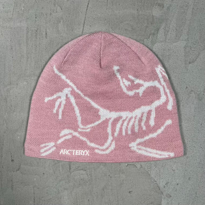 ArcTeryx Bird Head Toque Beanie Bliss USED x18248