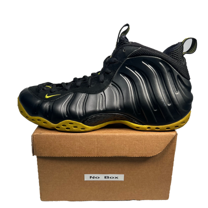 Nike Foamposite Cactus (2007) Size 10 USED s17705