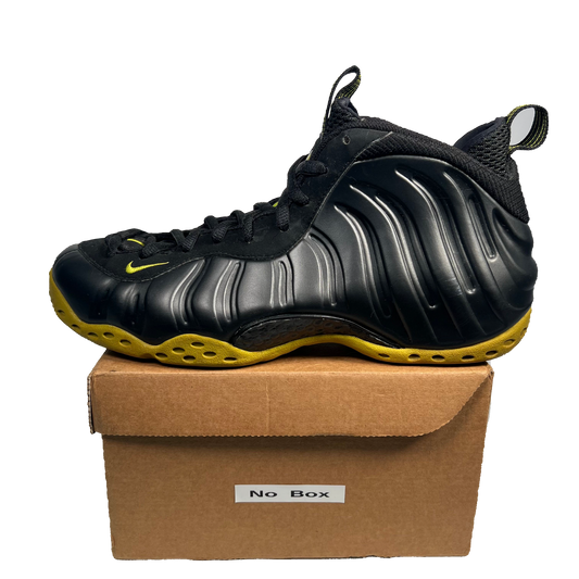 Nike Foamposite Cactus (2007) Size 10 USED s17705