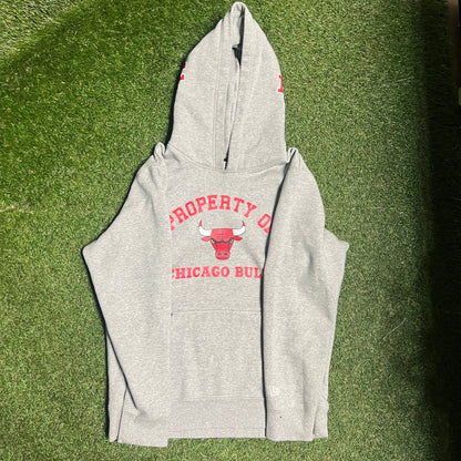 Eric Emanuel Chicago Bulls Pull Over Grey Hoodie Size Large USED x14045