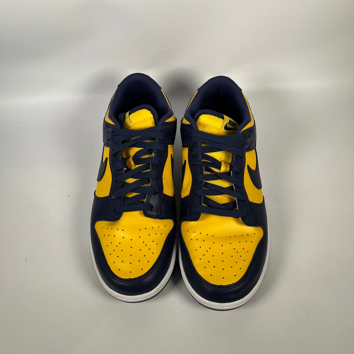 Nike Dunk Michigan (2021) Size 11 USED s18740
