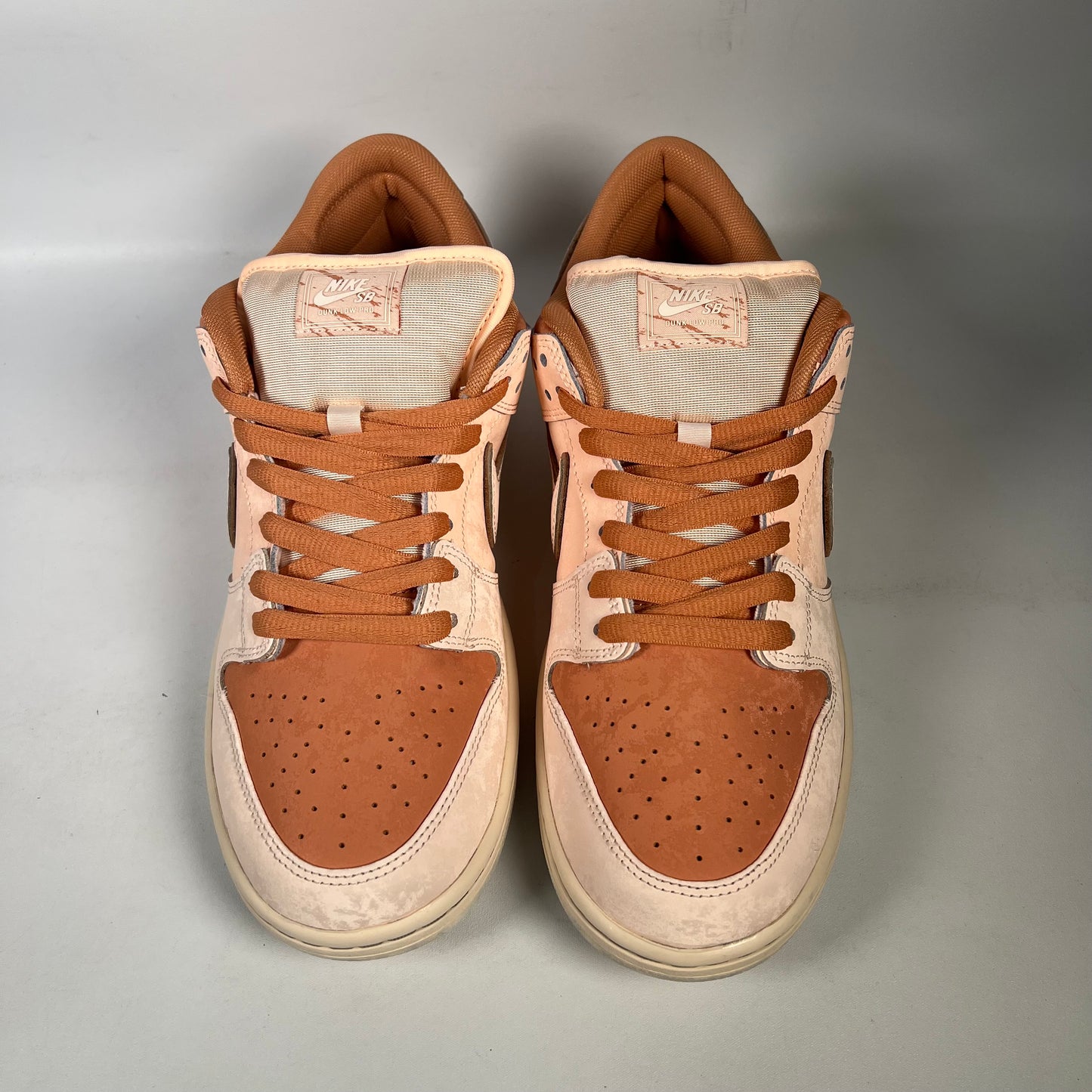 Nike SB Dunk Trocadéro Gardens (2024) Size 11 USED s20945