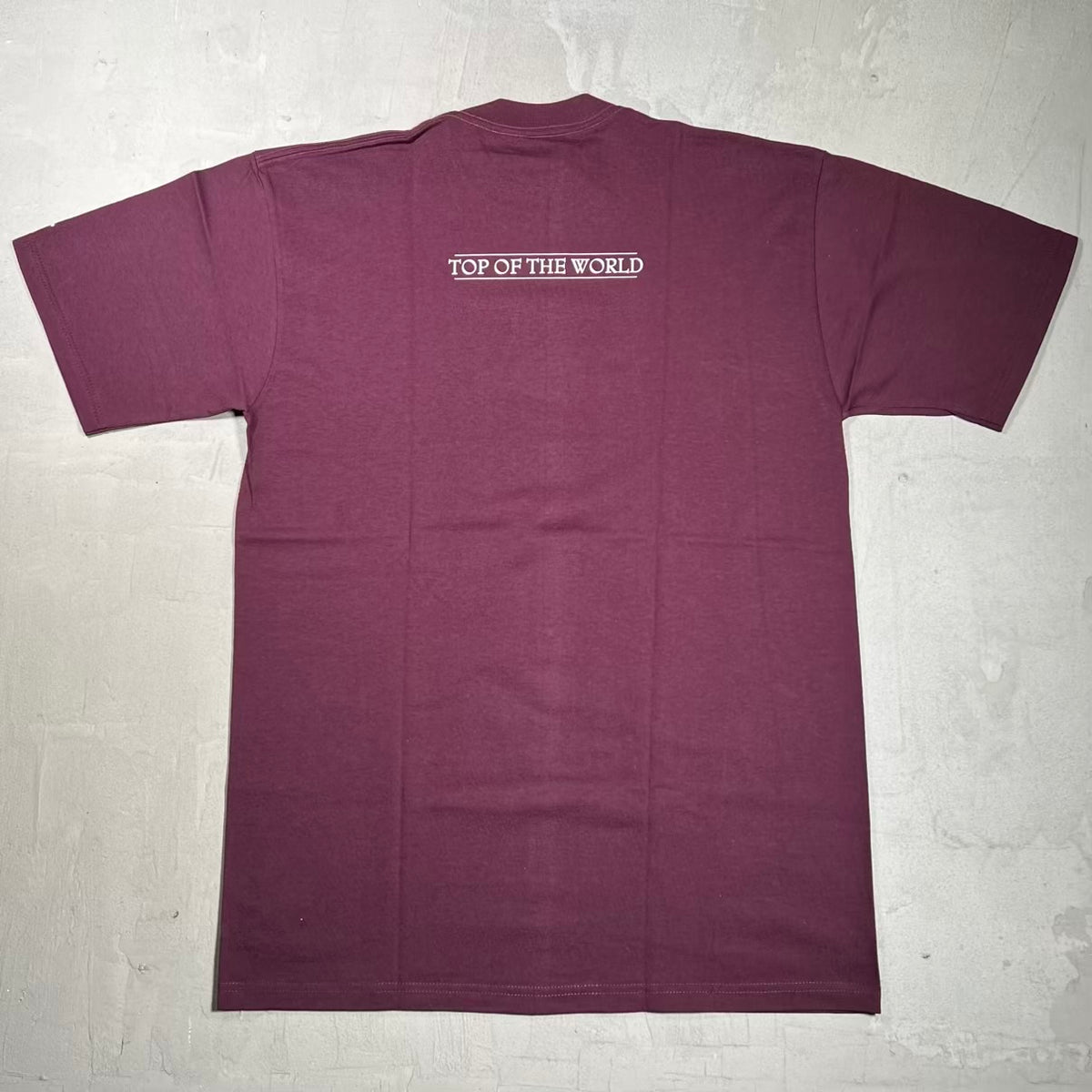 Supreme SSUR Top of The World (1999) Rust Purple Tee Size Large NEW x18541