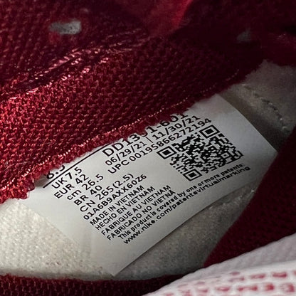 Nike Dunk Low Team Red Size 8.5 NEW s17471