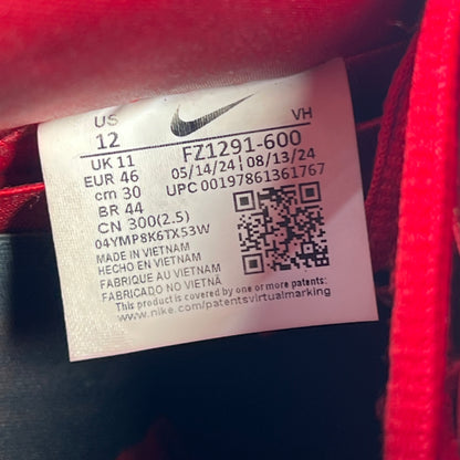 Nike SB Dunk Low Wizard of Oz Poppy Field (2024) Size 12 USED s17953