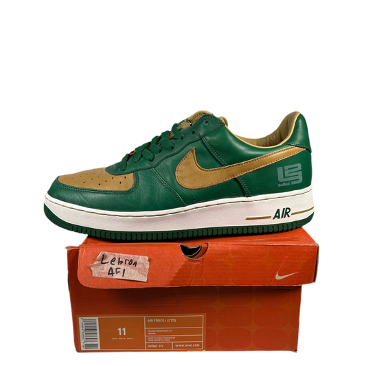 Nike Air Force One Lebron SVSM 2004 Size 11 USED s1494