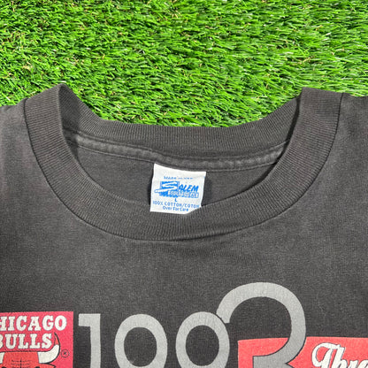 1993 Chicago Bulls Black World Champs Tee (DRYROT) Size Large USED v18388