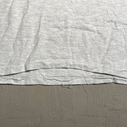 1990s Albert Einstein Pnas Grey Tee Size XL USED v19557