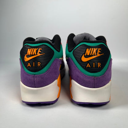 Nike Air Max 90 Viotech (2019) Size 10.5 USED s18326