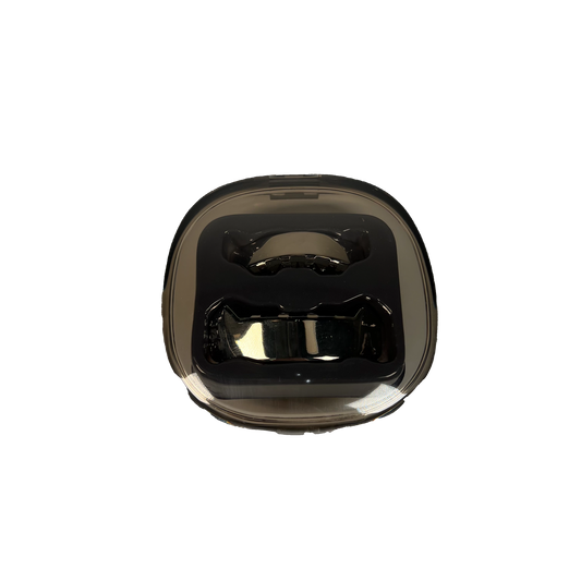 Yeezy Chrome Grills GR-01 NEW