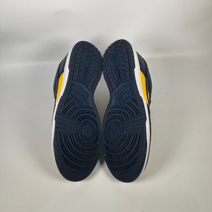 Nike Dunk Michigan (2021) Size 11 USED s18740