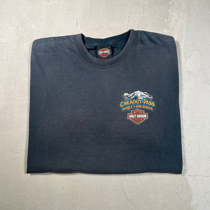 2010 Harley Davidson Chilkoot Pass Black Tee Size XL USED v18981