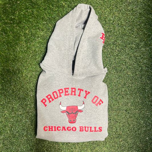 Eric Emanuel Chicago Bulls Pull Over Grey Hoodie Size Large USED x14045