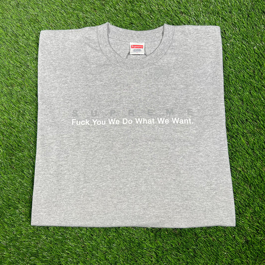 Supreme What We Want 2015 Grey Tee Size Large NEW x14507
