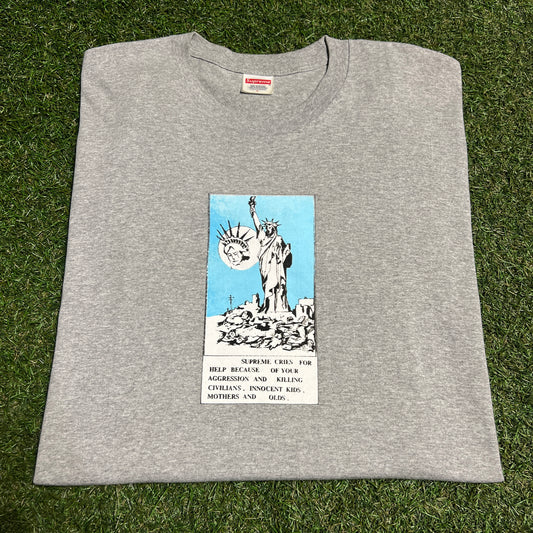 Supreme Liberty 2024 Grey Tee Size Large USED x13742