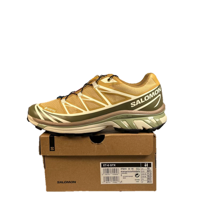 Salomon XT-6 GTX Antelope Portabella (2025) Size 10.5 USED s23601