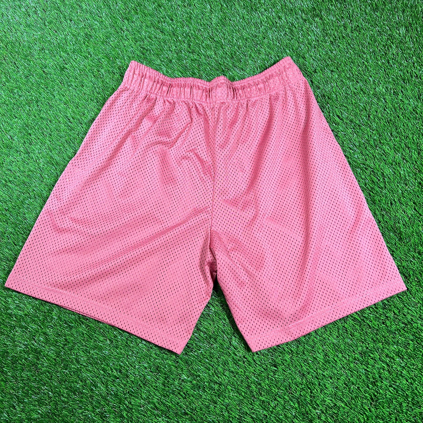 Eric Emanuel Pink Short/Pink Logo Lightning Bolts Size Large USED x14450