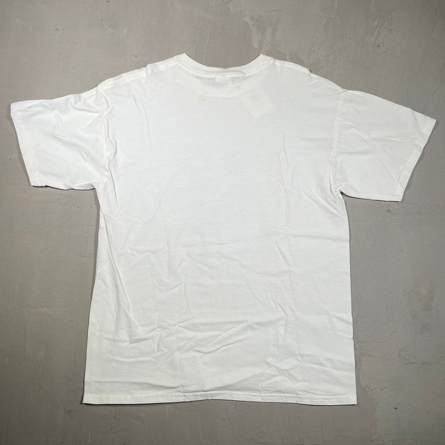 2000 Snow Birds Wildlife Land Trust White Tee Size Large USED v17122