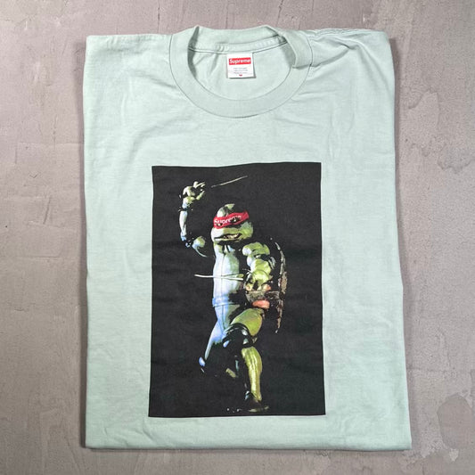 Supreme Raphael Teen Pale Aqua (2021) Size Medium USED x18842