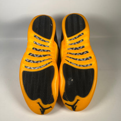 Jordan 12 Black University Gold (2020) Size 14 USED s20038