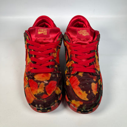 Nike SB Dunk Low Wizard of Oz (2024) Size 8.5 USED s21843