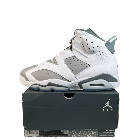 Jordan 6 Cool Grey (2023) Size 10.5 NEW s22744