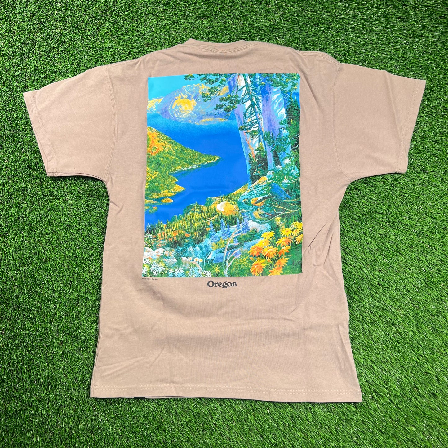 Nike ACG Brown Crater Lake Vibrant Nature Print Tee Size Small USED x16483