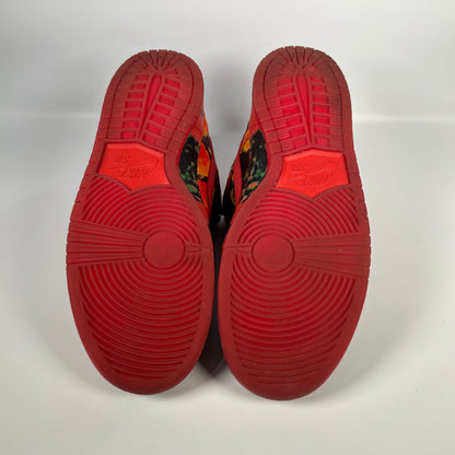Nike SB Dunk Low Wizard of Oz Poppy Field (2024) Size 12 USED s17953