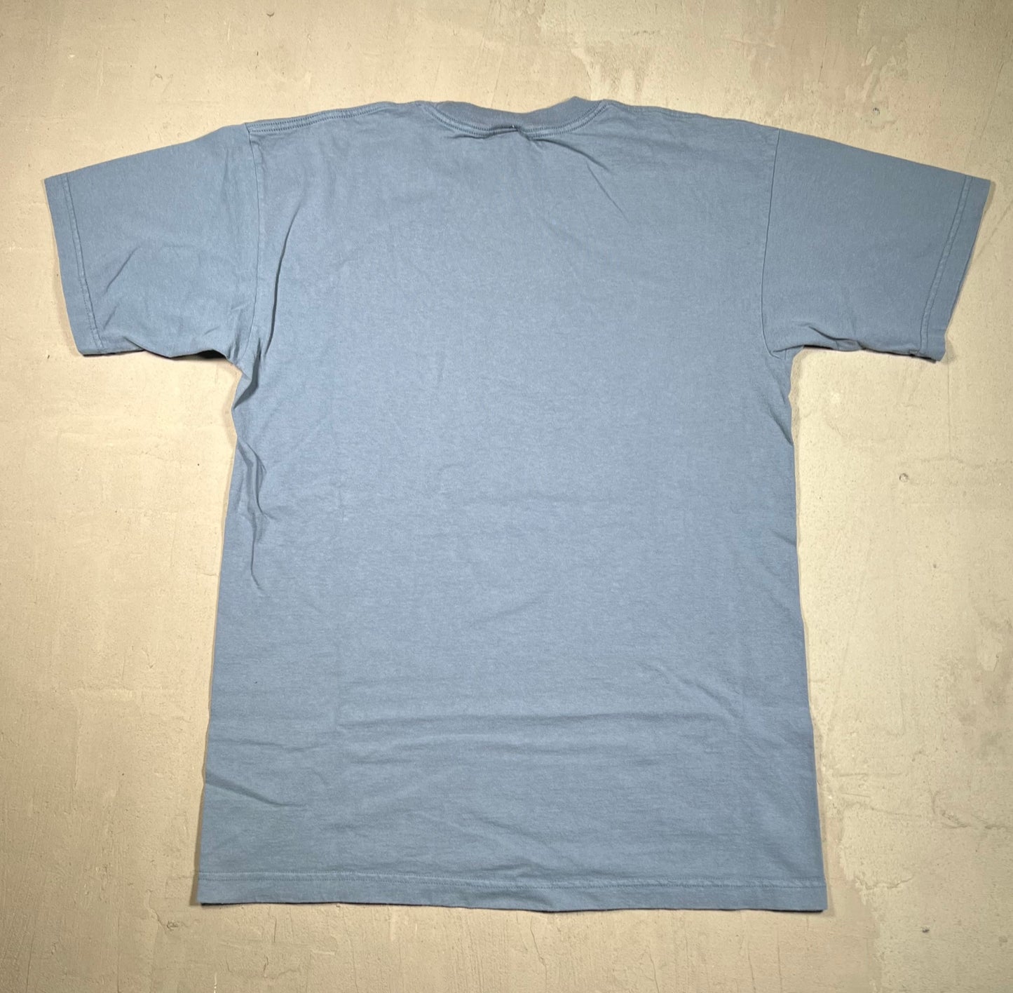 1990s Porn Star Ron Jeremy Perverse Blue Tee Size Large USED v17126