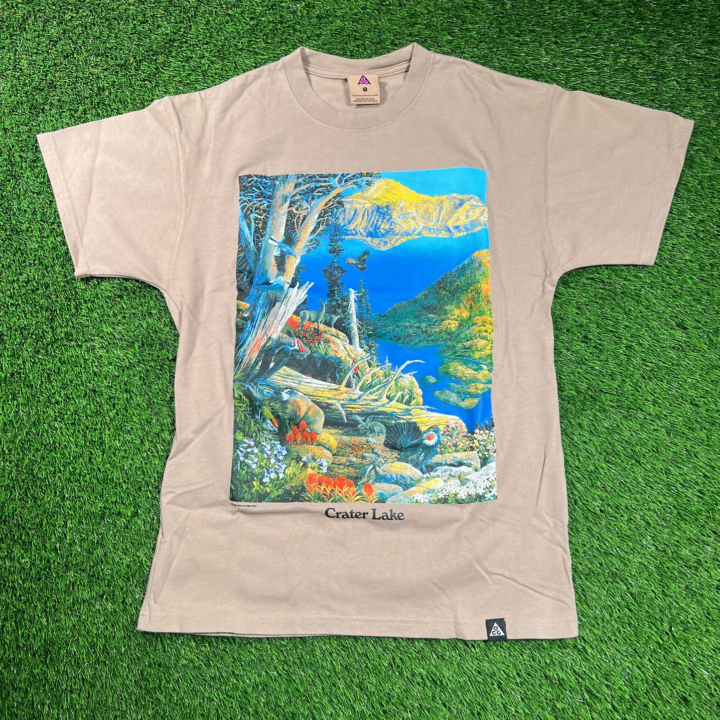 Nike ACG Brown Crater Lake Vibrant Nature Print Tee Size Small USED x16483