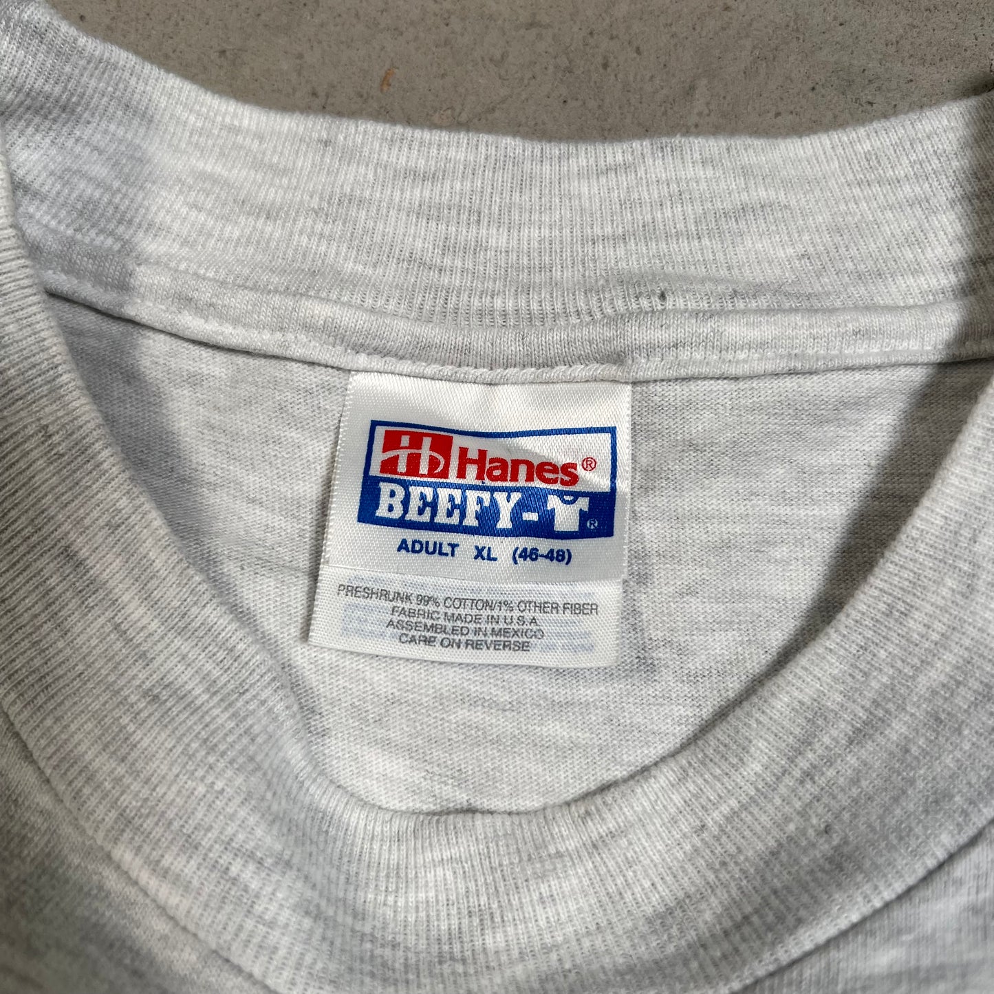 1990s Albert Einstein Pnas Grey Tee Size XL USED v19557