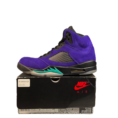 Jordan 5 Alternate Grape (2020) Size 9.5 USED s23653