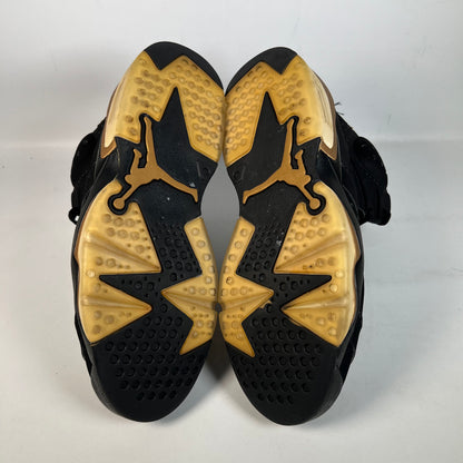 Jordan 6 DMP (2019) Size 9.5 USED s22414