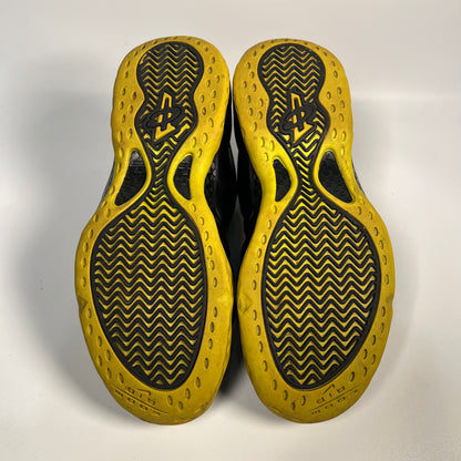 Nike Foamposite Cactus (2007) Size 10 USED s17705