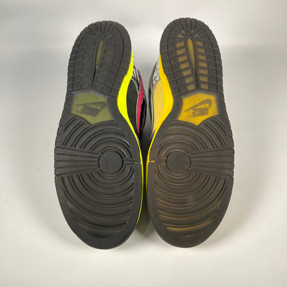 Nike SB Dunk What The Duck Home Oregon PE (2024) Size 11.5 USED s18888