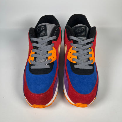 Nike Air Max 90 Viotech (2019) Size 10.5 USED s18326