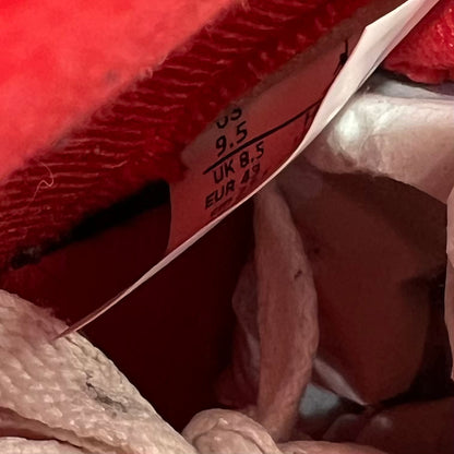 Jordan 5 Fire Red Black Tongue (2025) Size 9.5 USED s23619