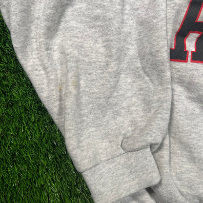1995 San Francisco Spiders NHL Hockey Grey Crewneck Size XL USED v18259