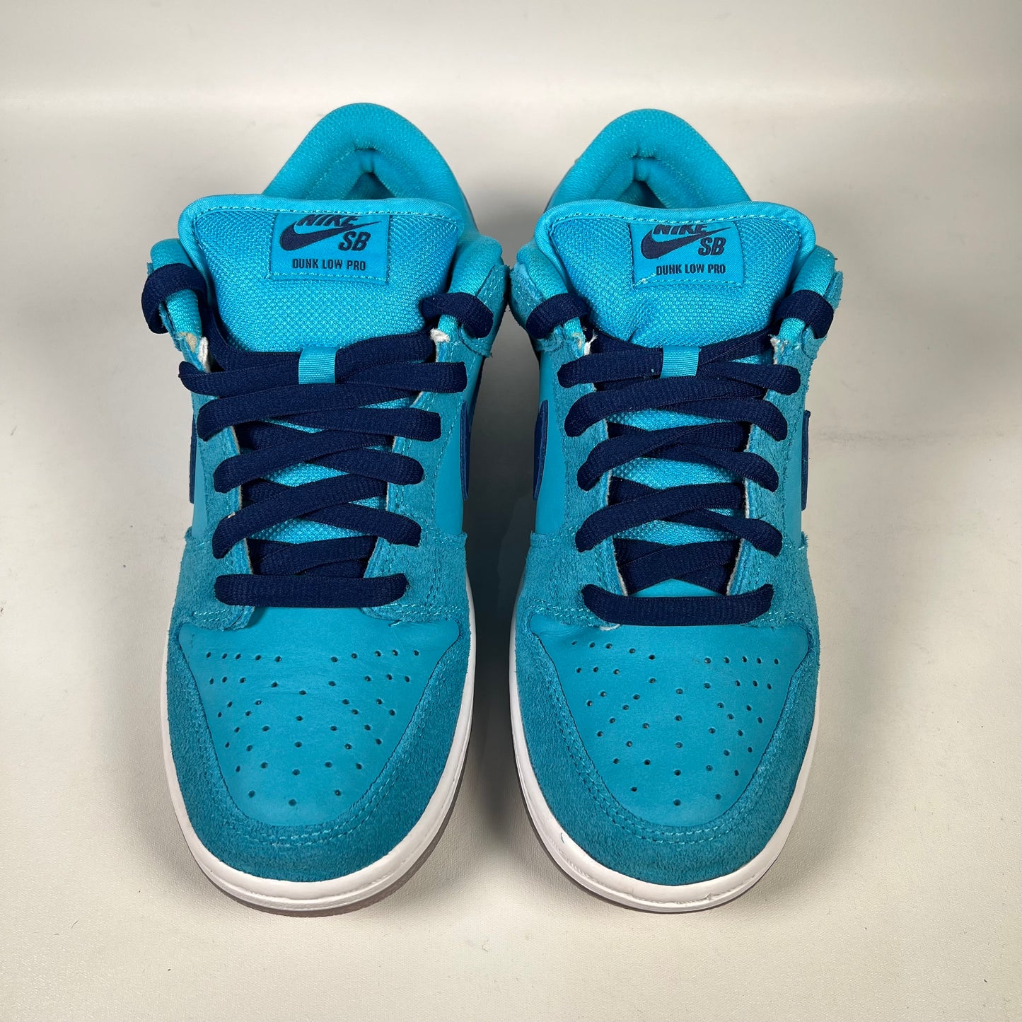 Nike SB Dunk Blue Fury (2020) Size 8.5 USED s20120