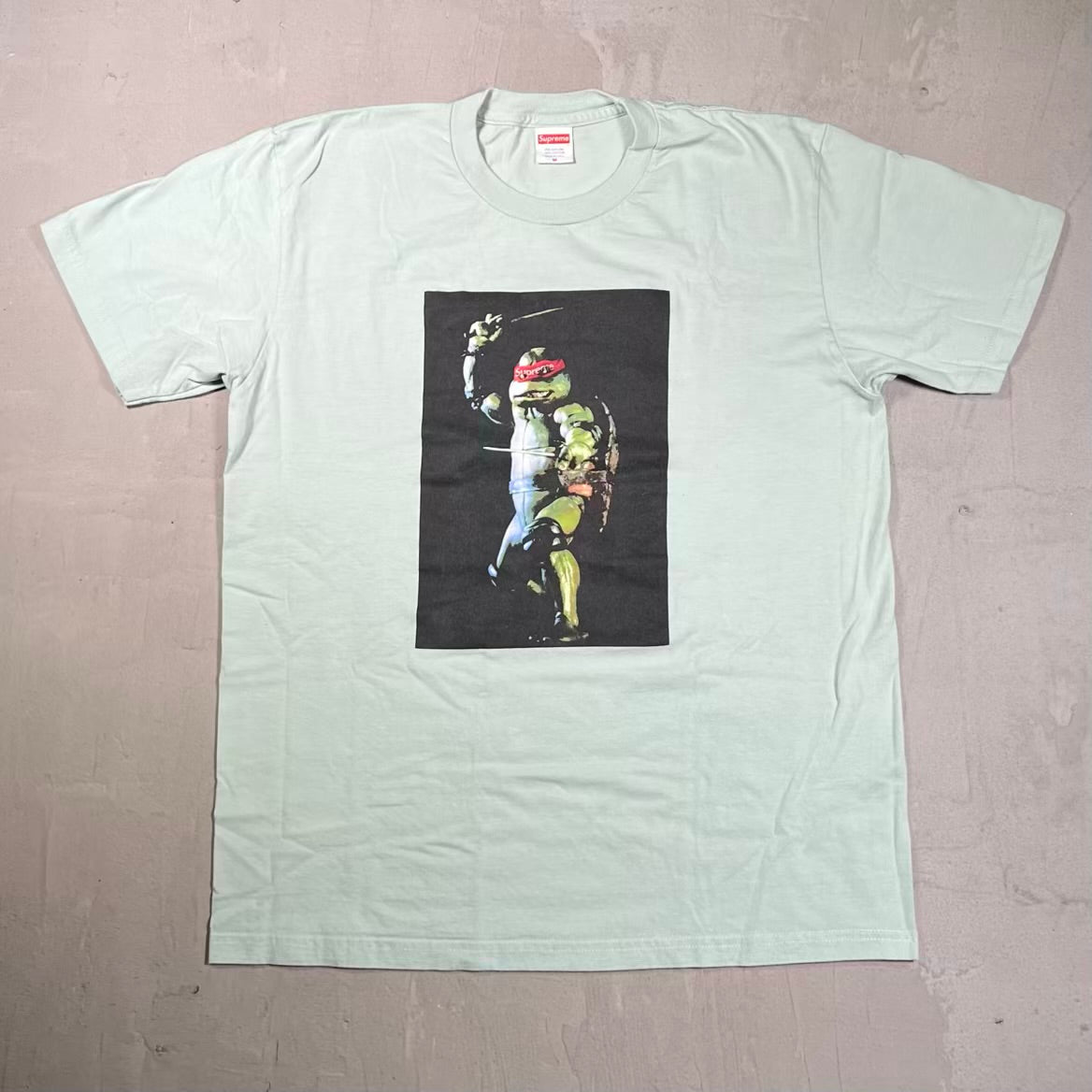 Supreme Raphael Teen Pale Aqua (2021) Size Medium USED x18842