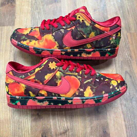 Nike SB Dunk Low Wizard of Oz Size 12 NEW s16789